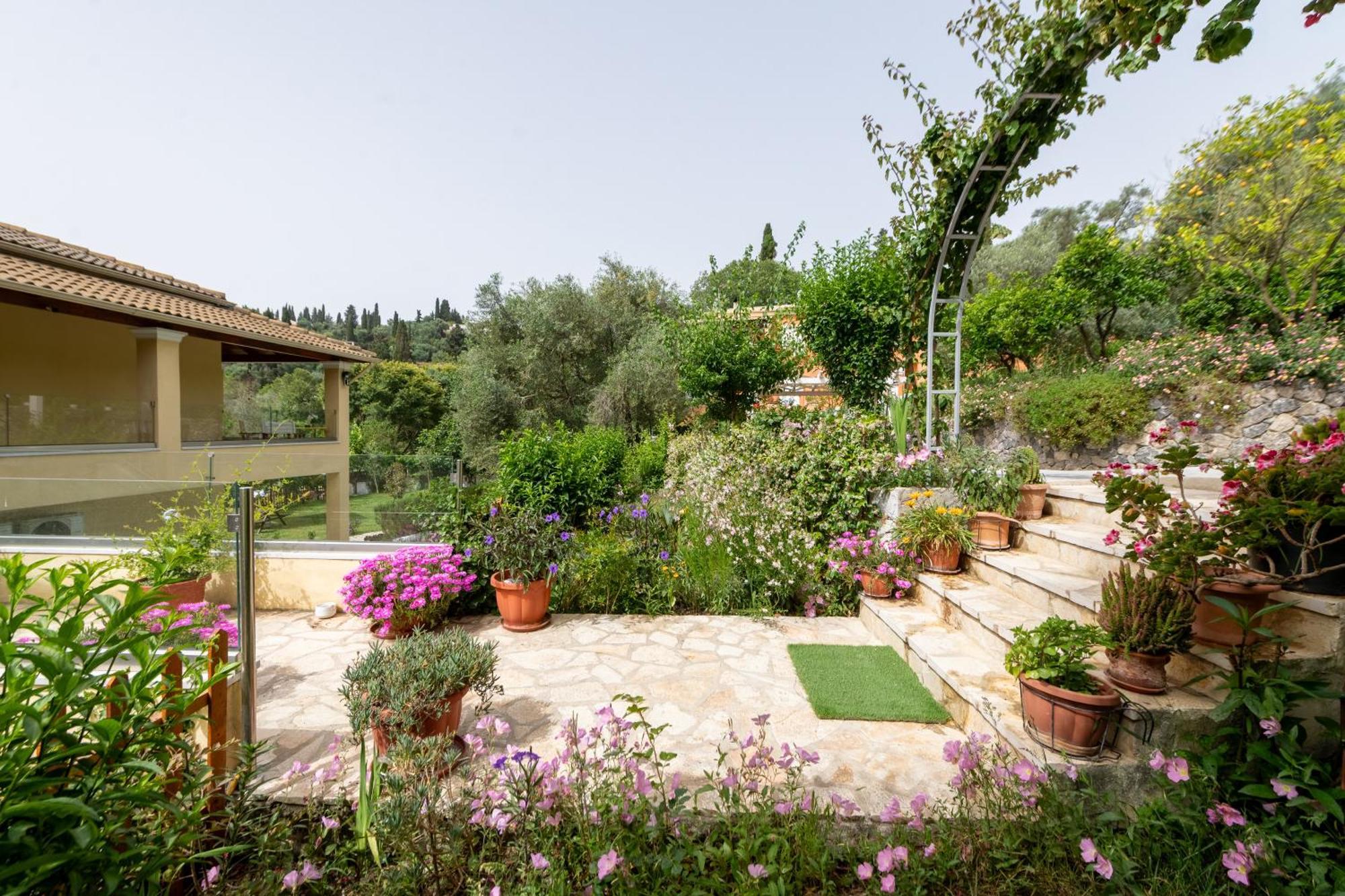 Apartmán Lazaros